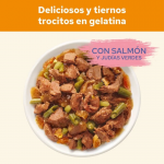 Purina Cat Chow Comida Húmeda en Gelatina para Gatos con Salmón