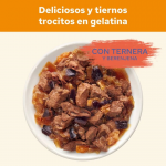 Purina Cat Chow Comida Húmeda en Gelatina para Gatos con Buey