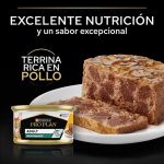 Pro Plan Adult Maintenance Comida Húmeda en Mousse para Gatos con Pollo