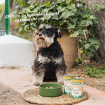 Wild Balance Barf Pork Comida Húmeda Para Perros con Cerdo