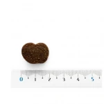 Moments-Snacks Fruta para Perro (1)