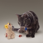 Kong Softies Llama de Peluche para Gatos con Catnip