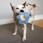 Kong Snuzzles Oso Perezoso Peluche para Perros