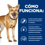 Hills Prescription Diet-PD Canine i/d. (1)