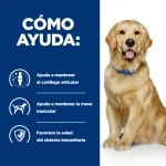 PD Canine j/d (6)