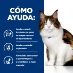 Hills Prescription Diet-PD Feline w/d (1)