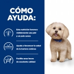 Hills Prescription Diet-PD Canine z/d Mini (1)