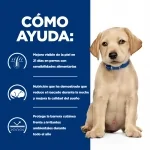 Hills Prescription Diet Derm Complet Medium pienso para cachorros