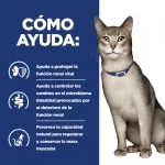 Pack Comida Húmeda Hills Prescription diet K/D para gatos de Pollo