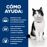 Hills Prescription Diet Digestive Care i/d latas para gatos de pollo estofado y verduras