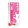 Pharmadiet Profilaxcel Alimento Complementario para Perros y Gatos