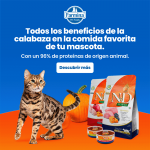 Farmina ND Cat Pumpkin Grain free Codorniz pienso para gatos