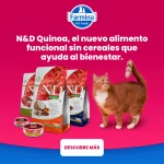 Farmina ND Cat Quinoa Grain free Weight management pienso para gatos