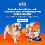 Farmina ND Dog Pumpkin Grain free Mini Pollo pienso para perros