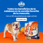 Farmina ND Dog Pumpkin Jabalí comida húmeda para perros 6x285grs