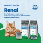 Farmina vet life cat renal dieta para gatos