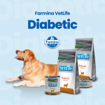 Farmina Vet Life Cat Diabetic dieta para gatos