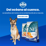 Farmina ND Ocean Pienso para perros mini de Salmón y Bacalao