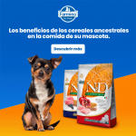 Farmina ND Ancestral pienso para perros Gigantes de Pollo