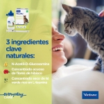 Virbac Feluro Suplemento Urinario para Gatos