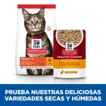 Hills Science Plan Healthy Cuisine Comida Húmeda para Gatos Adultos Estofado de Pollo