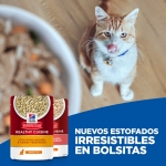 Hills Science Plan Healthy Cuisine Comida Húmeda para Gatos Adultos Estofado de Pollo