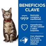 Hills Science Plan Healthy Cuisine Comida Húmeda para Gatos Adultos Estofado de Pollo