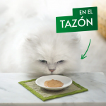 Gourmet Natures Creations Puree Snack Cremoso para Gatos con Buey