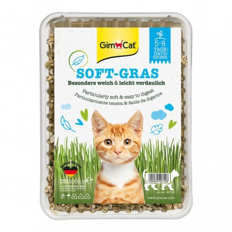 GimPet Soft-Grass Hierba Gatera para Gatos