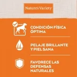 Natures Variety Original No Grain para perros adultos con Salmón