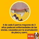 Multipack Dentastix Fresh Mediano Snack Dental Para Perro
