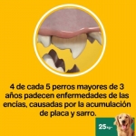 Pedigree Dentastix Fresh Snack Dental para Perros Grandes