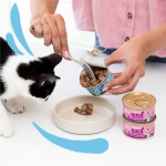 Edgard & Cooper Kitten Comida Húmeda para Gatitos con Pato y Pollo
