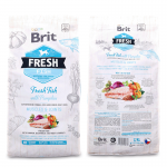 Brit fresh adult large muscles joints pescado calabaza pienso para perros