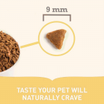 Acana feline Homestead Harvest pienso para gatos