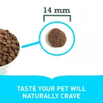 Acana feline Bountiful Catch pienso para gatos
