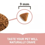 Acana Feline Indoor Entrée pienso para gatos