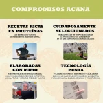 Perro Adulto Razas Pequeñas (6)