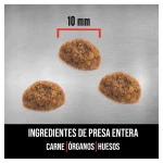 Pienso Orijen Original Catpara gatitos y gatos con pollo