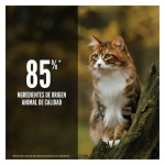 Pienso Orijen Regional Red para gatos adultos