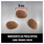 Pienso Orijen Regional Red para gatos adultos