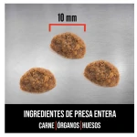 Pienso Orijen para gatitos con Pollo