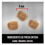 Orijen adult small pienso para perros sin cereales grain free