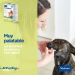 virbac-Pronefra para Perro (1)
