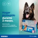 Effipro Duo pipetas antiparasitarias para perros