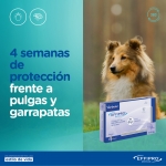 virbac-Effipro perros 10-20 kg (1)