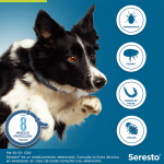 Pack Súper Protección: collar Seresto más de 8kg + Advantix 4 pipetas +25kg 