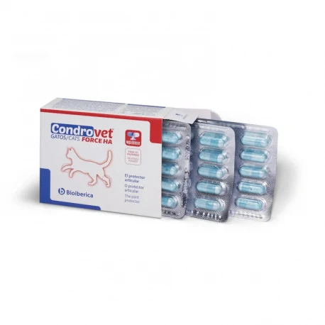 Condroprotector Cosequin Gato (6)