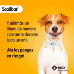Scalibor Perro Pequeño Pack Ahorro 2 collares (48cm)