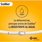 Scalibor Perro Pequeño Pack Ahorro 3 collares (48cm)